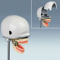 PK-1 Base Level Mannequin Head